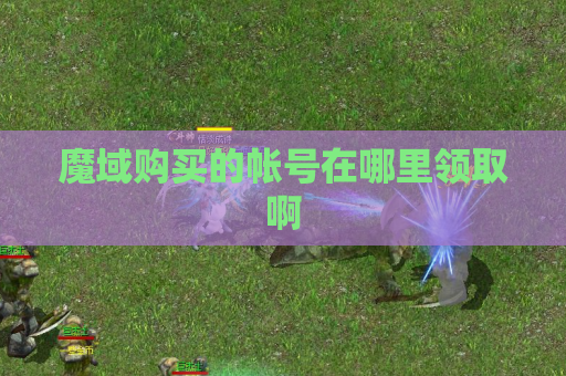 魔域购买的帐号在哪里领取啊