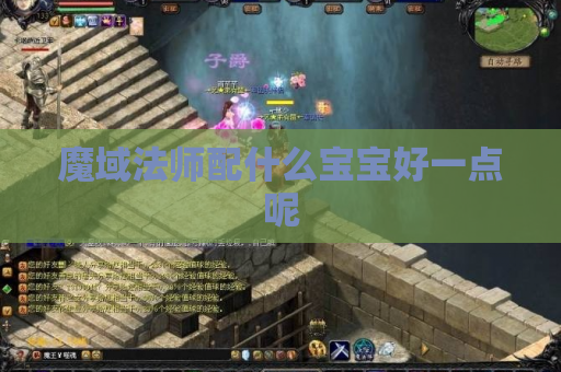 魔域法师配什么宝宝好一点呢