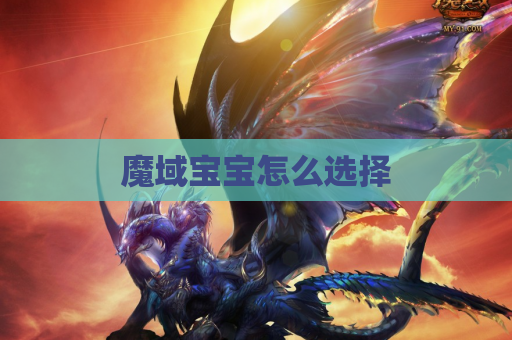 魔域宝宝怎么选择
