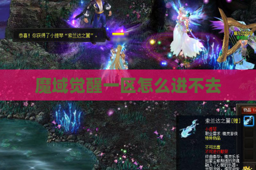 魔域觉醒一区怎么进不去
