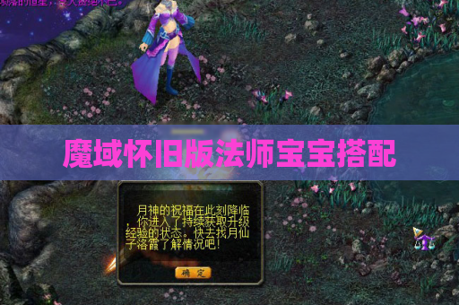 魔域怀旧版法师宝宝搭配