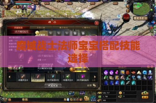 魔域战士法师宝宝搭配技能选择