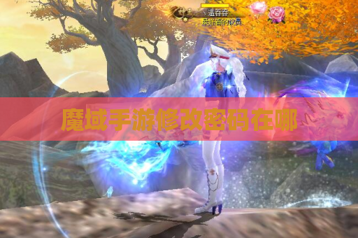 魔域手游修改密码在哪