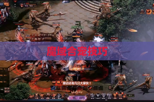 魔域合宠技巧