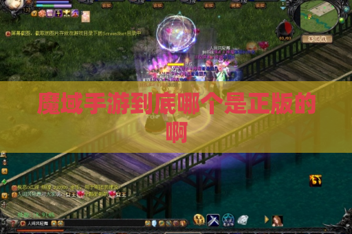 魔域手游到底哪个是正版的啊