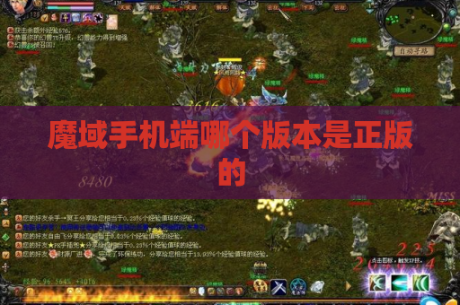 魔域手机端哪个版本是正版的