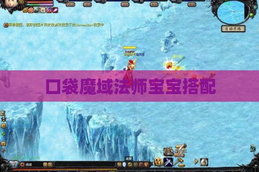 口袋魔域法师宝宝搭配