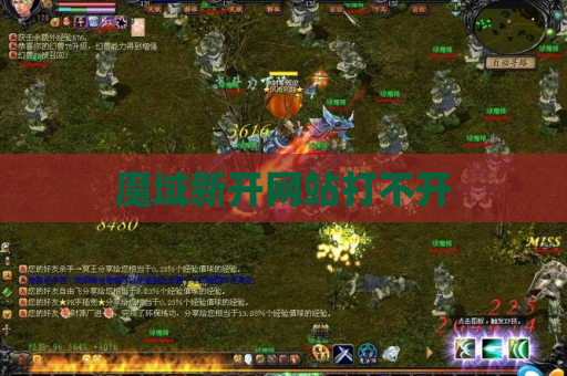 魔域新开网站打不开