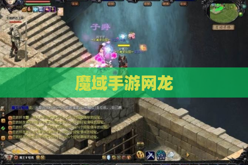 魔域手游网龙