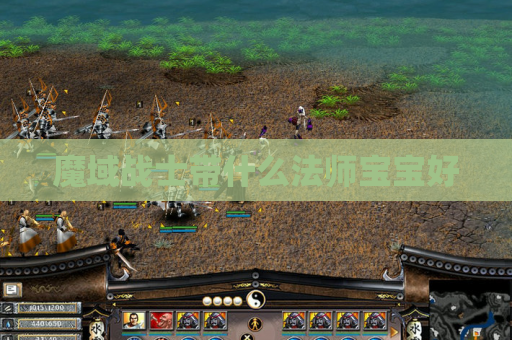魔域战士带什么法师宝宝好