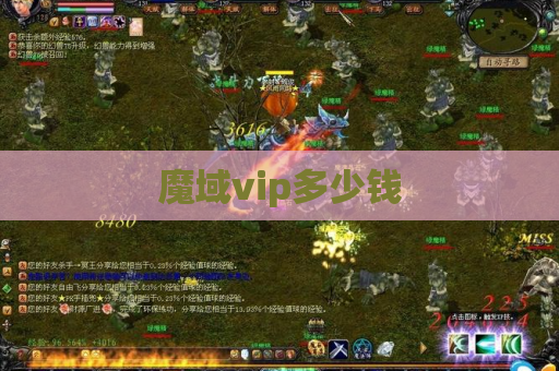 魔域vip多少钱