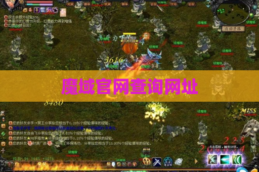 魔域官网查询网址