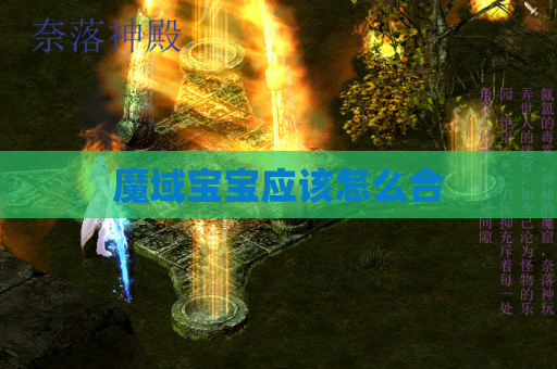 魔域宝宝应该怎么合