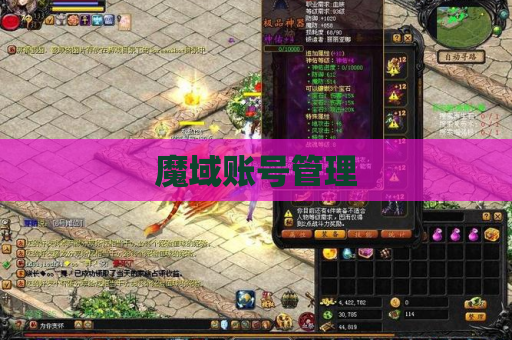 魔域账号管理