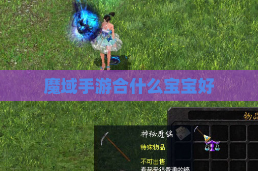 魔域手游合什么宝宝好