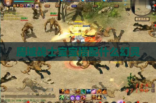 魔域战士宝宝搭配什么幻灵