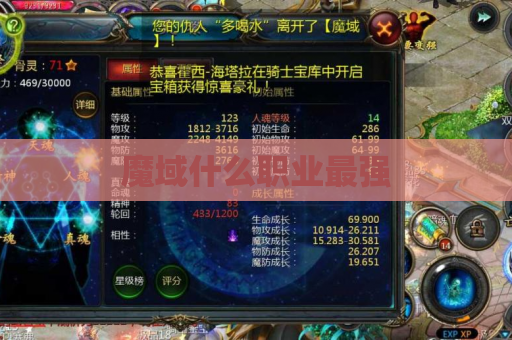 魔域什么职业最强