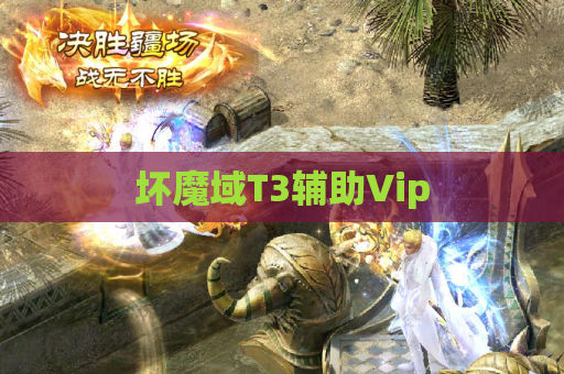 坏魔域T3辅助Vip