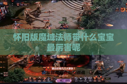 怀旧版魔域法师带什么宝宝最厉害呢