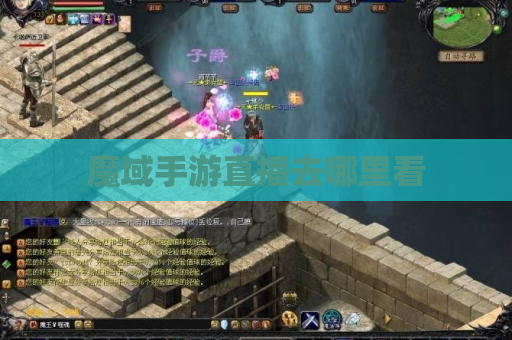 魔域手游直播去哪里看