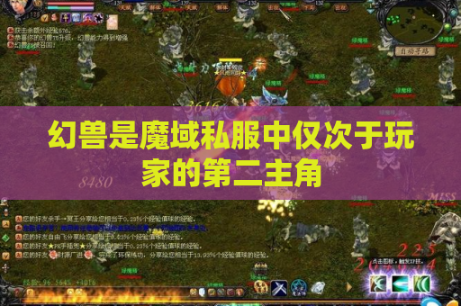 幻兽是魔域私服中仅次于玩家的第二主角